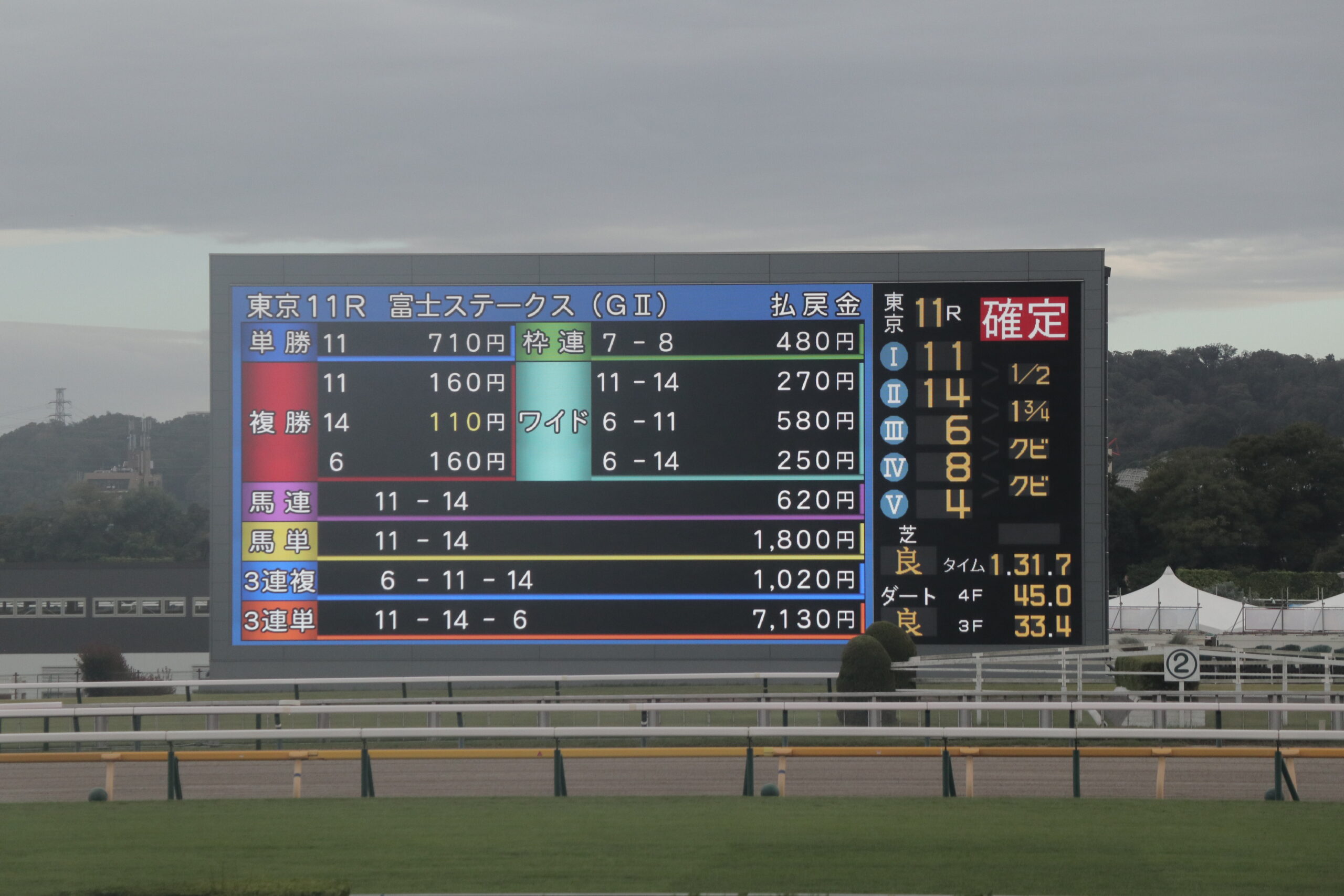 富士ステークス　現地観戦